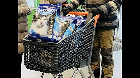 🇺🇦 Ukrainians are buying a lot of cat litter
