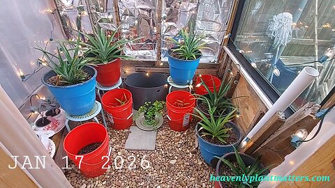 Putting in Lights Ahead of the Freeze!