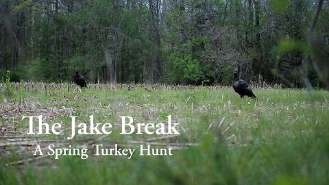 The Jake Break. A Spring Turkey Hunt.