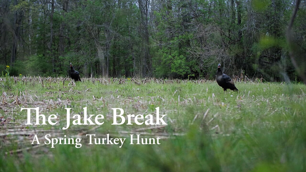 The Jake Break. A Spring Turkey Hunt.