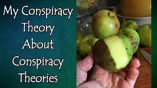My Conspiracy Theory About Conspiracy Theories