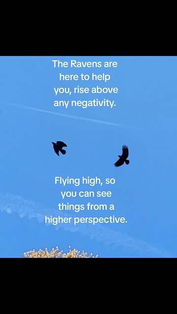 Raven spirit.
