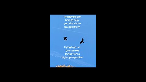 Raven spirit.
