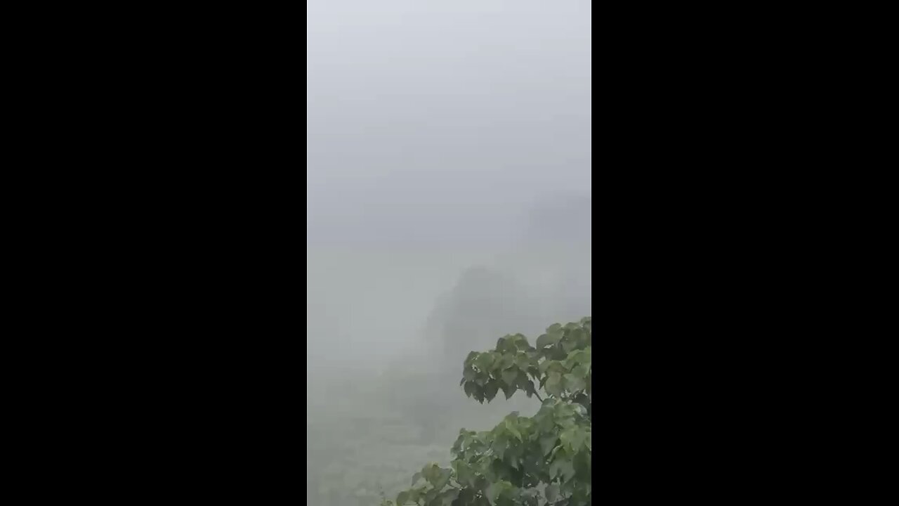 Lost in the Clouds | Heavy Fog View