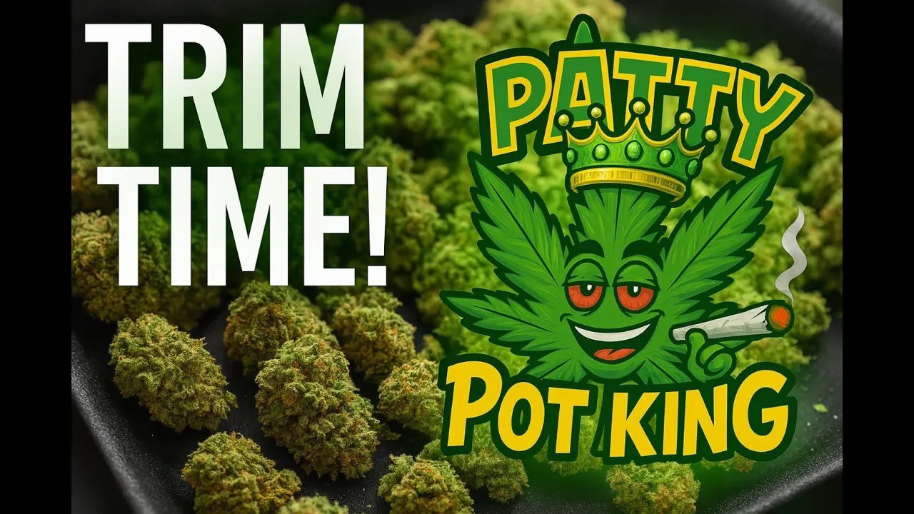 Its Trim Time!