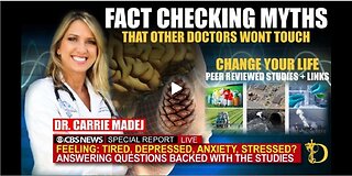 Thriving in Medicine: Exploring the Fearless Journey of Dr. Carrie Madej"