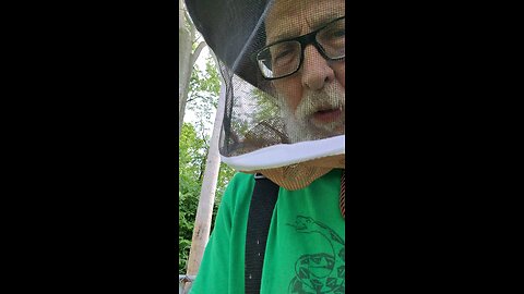 Bee Hive Inspection