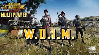 PUBG Multiplayer? | W.D.I.M.