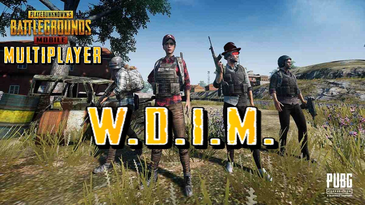 PUBG Multiplayer? | W.D.I.M.