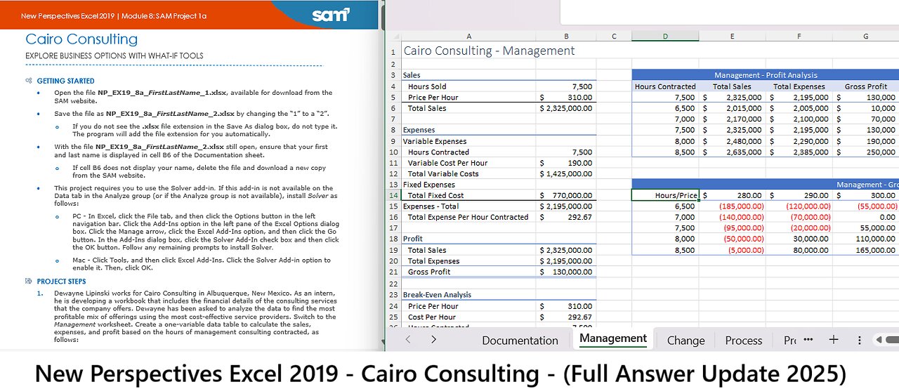 New Perspectives Excel 2019 | Module 8: SAM Project 1a | Cairo Consulting (Update 2025)