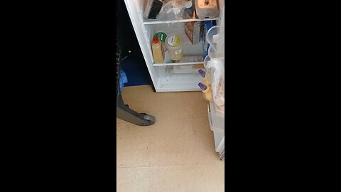 tilted sideways