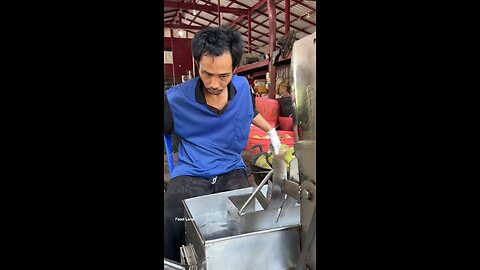 Coconut Precessing Machine