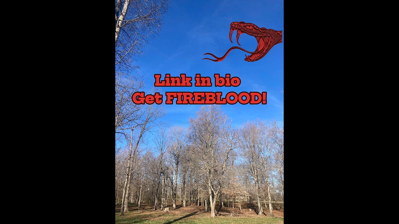 Day 70/100 walk in nature #FIREBLOOD