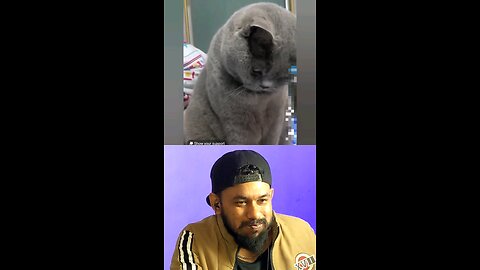 trynottolaugh part 73