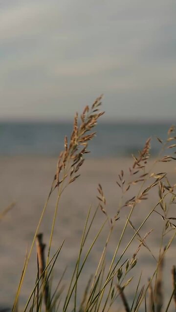 The Value of Salvation Hits Different Over Time