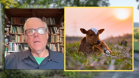Can CATTLE Farming Compete with CORN Subsidies? Joel Salatin