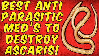 The Best Anti-Parasitic Medications To DESTROY ASCARIS LUMBRICOIDE ROUNDWORMS!