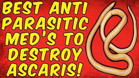 The Best Anti-Parasitic Medications To DESTROY ASCARIS LUMBRICOIDE ROUNDWORMS!