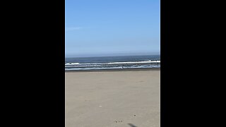 The Bible reading of the day the Old Testament series Deuteronomy 2:1-23