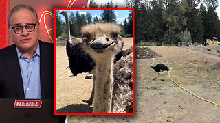 Police facing challenges as community rallies around Universal Ostrich Farms