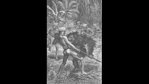 Po Orangutan