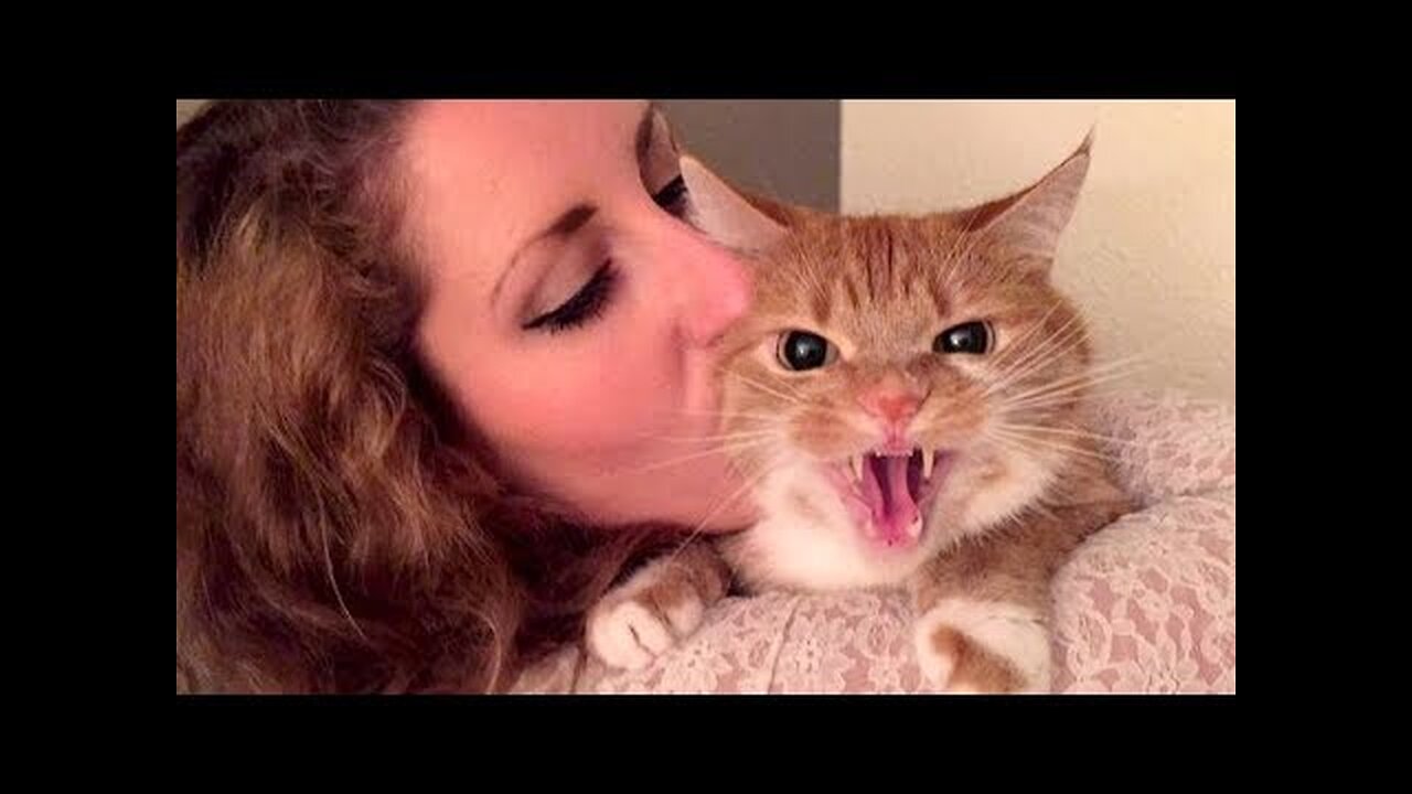The IMPOSSIBLE TRY TO STOP LAUGHING CHALLENGE - Funniest ANIMAL VIDEOS compilation