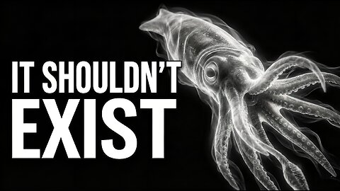 Why Evolution Made The Same Giant Animal Twice