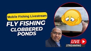 Try Fly Fishing when a pond has lots of "greenery" to foul your line! #Mobile #Fishing #Livestream