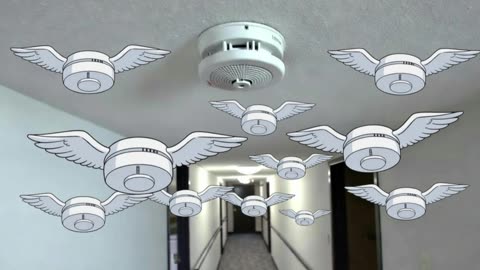 That Beep by Lil Beepy, Feat: The Hallway Birds