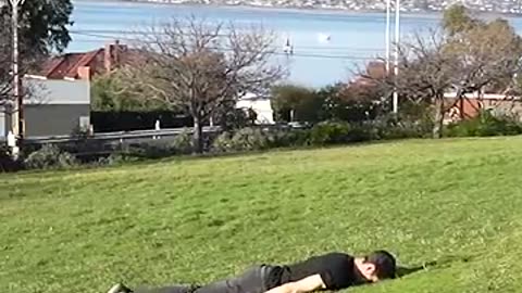 How to get over a fence - Funny animals ways part 2