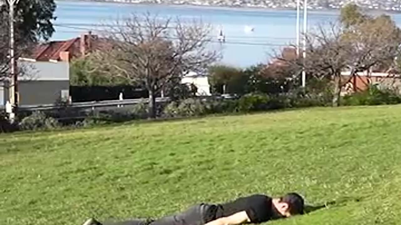 How to get over a fence - Funny animals ways part 2