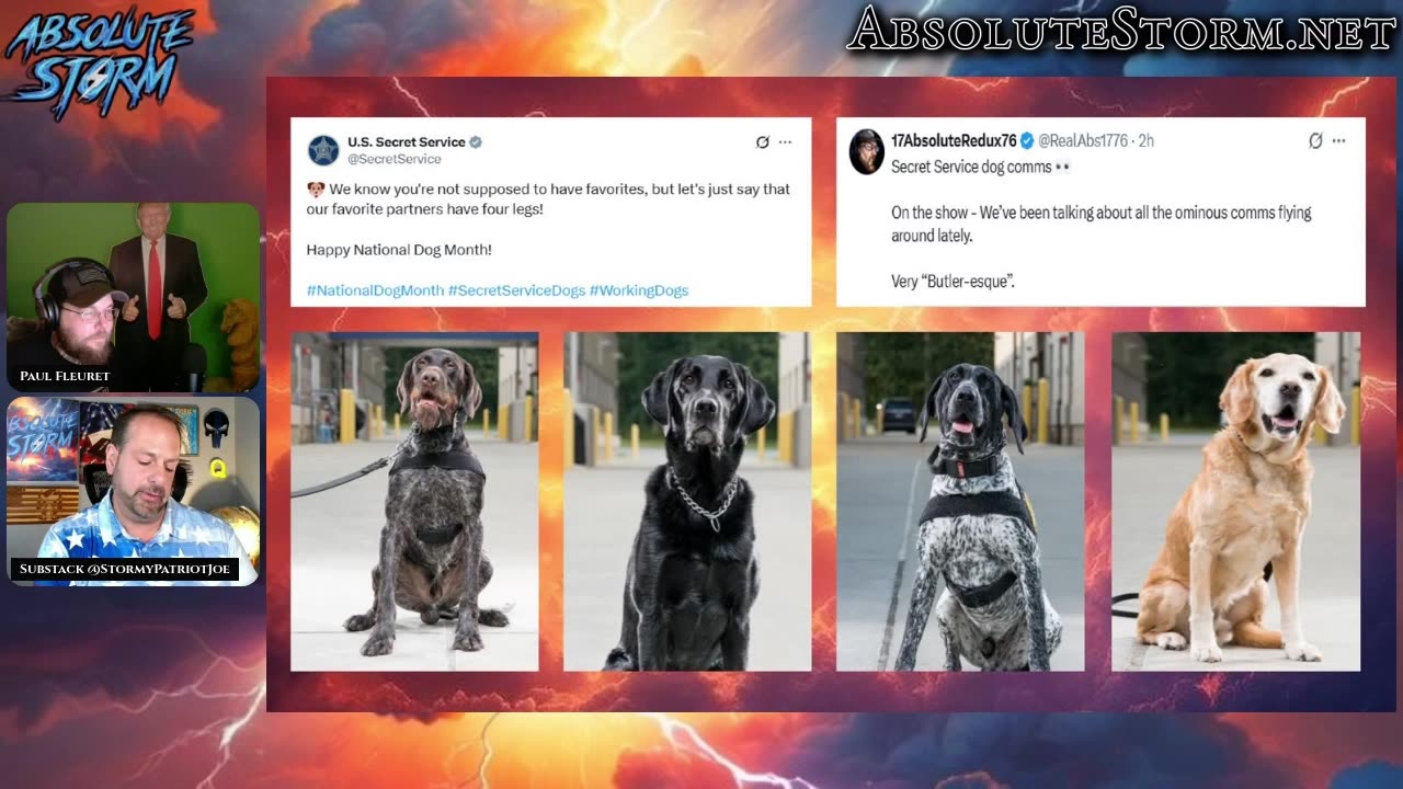 Clips: Absolute Storm Ep 76 - Dog Comms