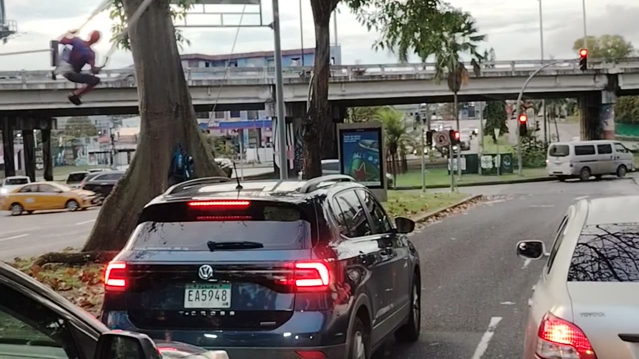 Spider Man Seen Swinging From a Tree in Panama