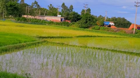 Bangladesh