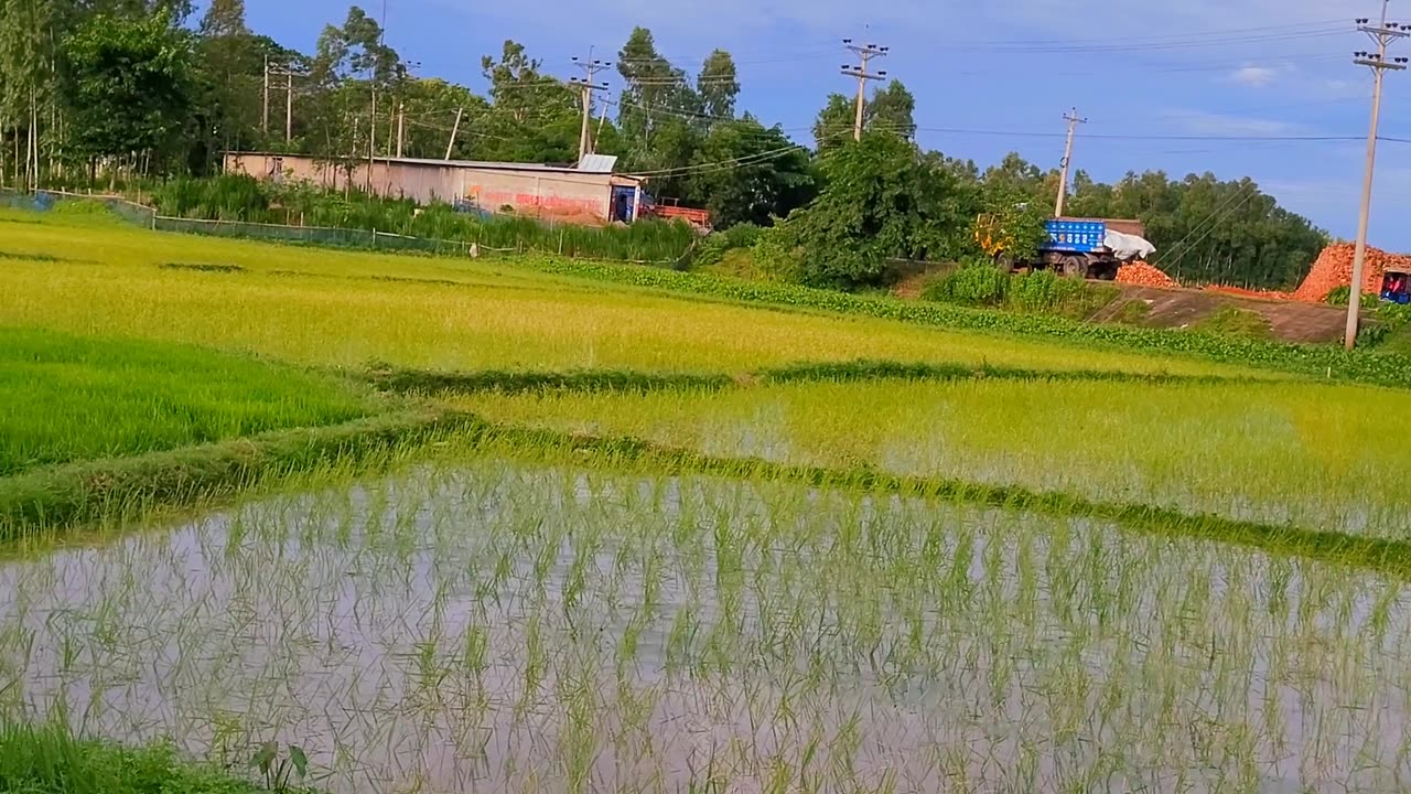 Bangladesh