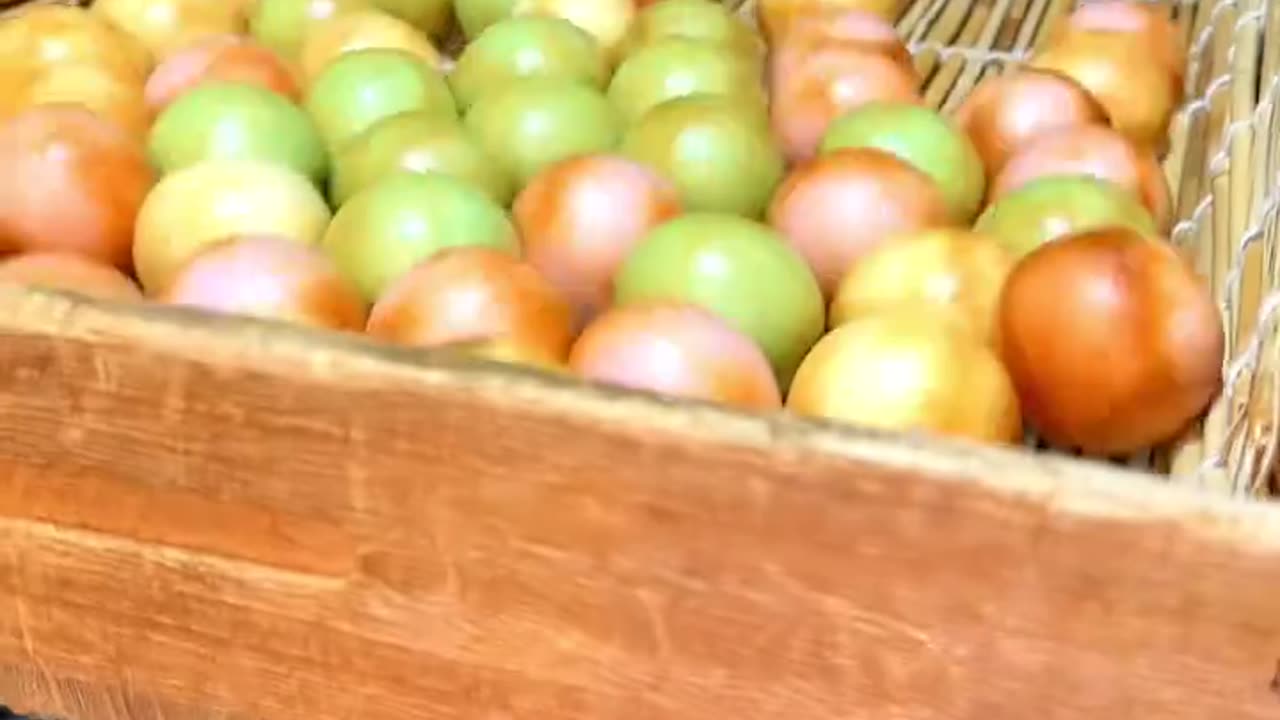 Marumochi