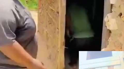 Funny video
