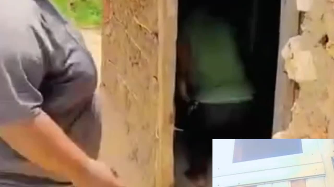 Funny video