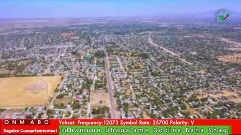 Oduu Galgala ONM-ABO Sadaasa 8-2025 itti dhiyaadhaa!