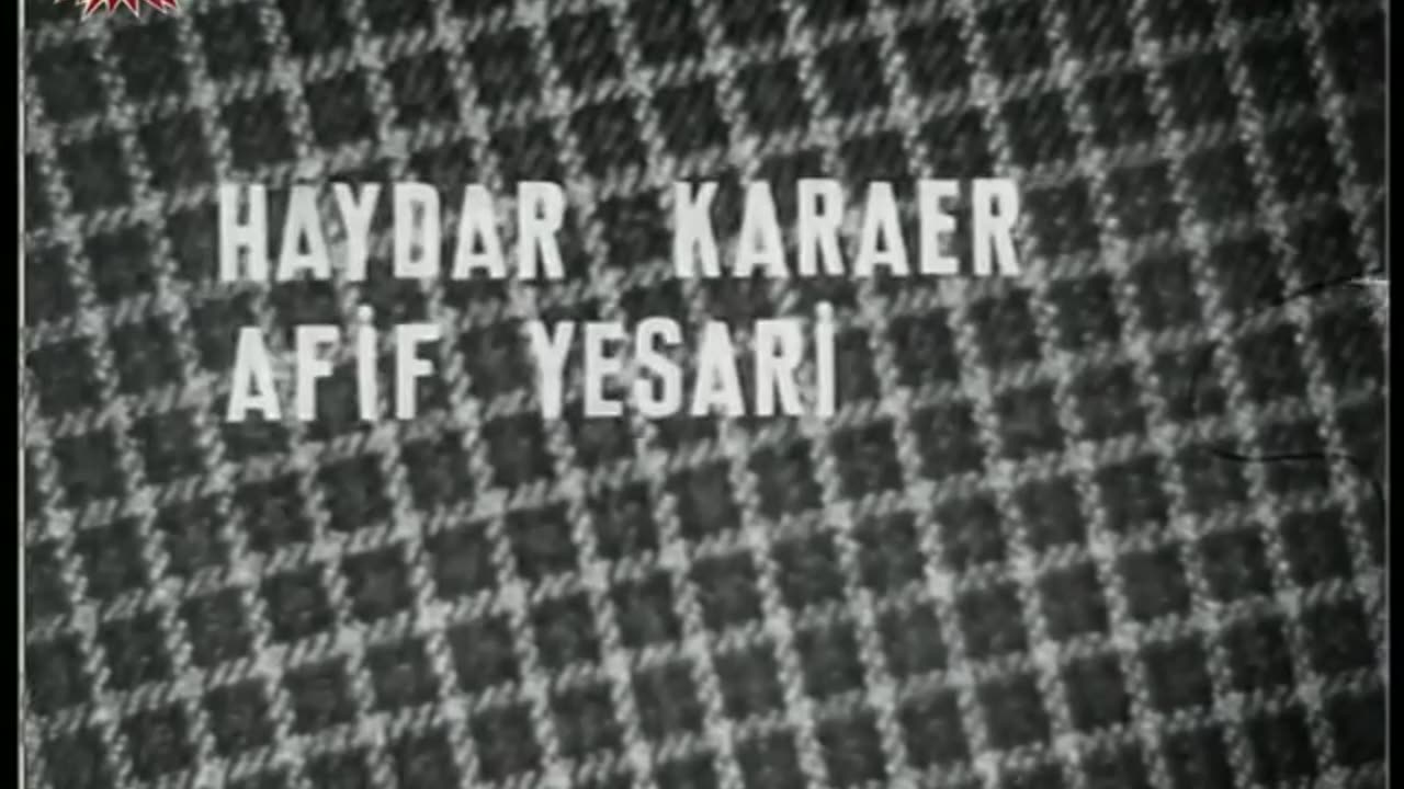 Cici Kızlar