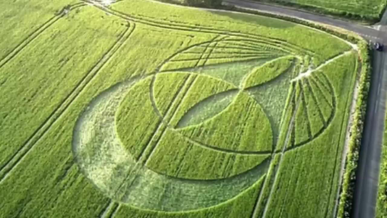 Sounds in sky birds chortled at night crop circles Turkestan - Seconds Of Horror