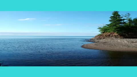 By The Waters Of The Minnetonka