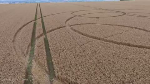 Crop Circle | Wayland's Smithy Long Barrow | Oxfordshire | 08/04/23 | Uffington White Horse