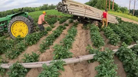 The Big Day! Firing Up Our New Farm Irrigation System