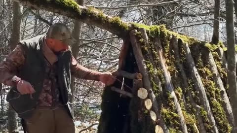 Bushcraft Bliss Crafting a Moss Covered Cozy Shelter in the Wilderness