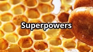🍯🐝 Bees’ Healing Honey – Nature’s Golden Medicine! 🧪🌼