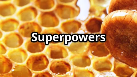 🍯🐝 Bees’ Healing Honey – Nature’s Golden Medicine! 🧪🌼