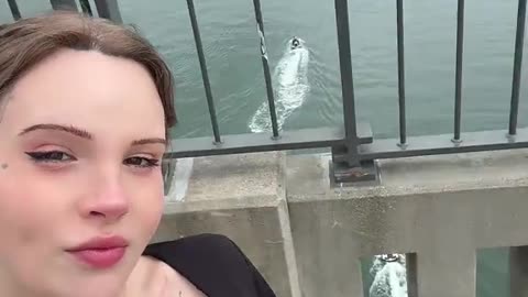 Really cute tgirl in this bridge