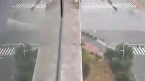 Desperate hens are ready to commit suicide ...