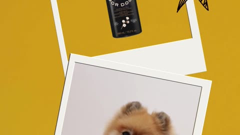 AVON Sirius Groom Shampoo For Dogs in Baby Powder